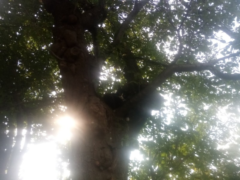 zoza1958 uploaded   242  day/s  ago