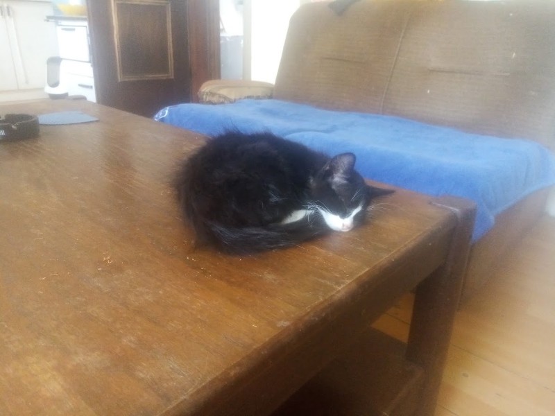 zoza1958 uploaded   280  day/s  ago