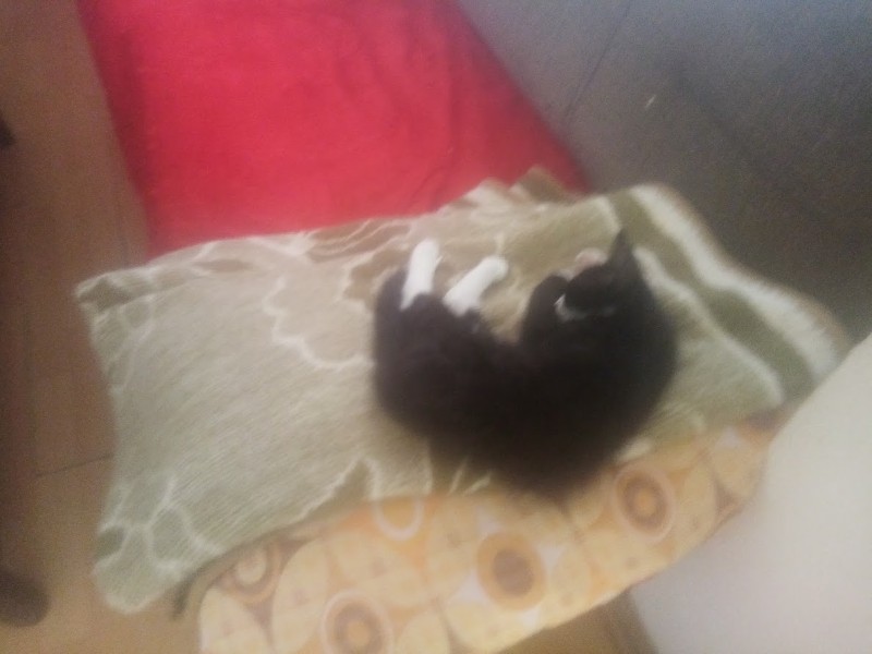 zoza1958 uploaded   280  day/s  ago