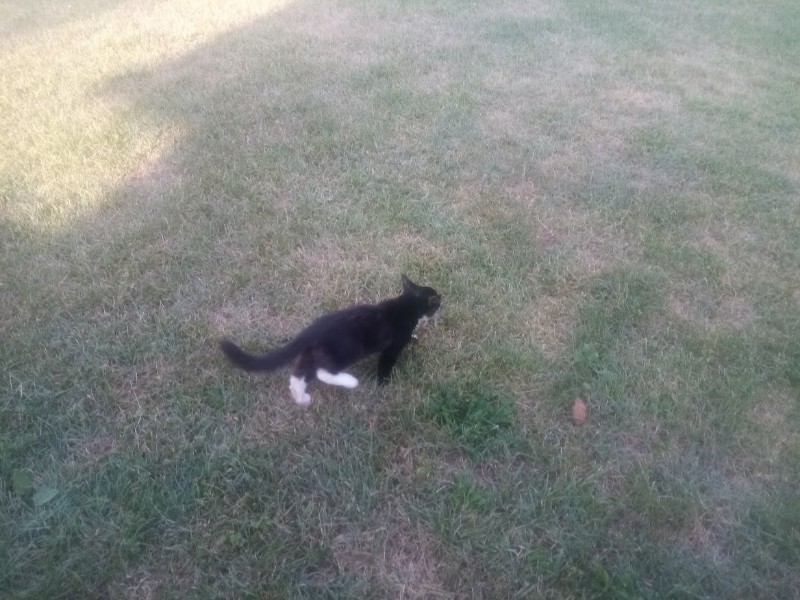 zoza1958 uploaded   242  day/s  ago