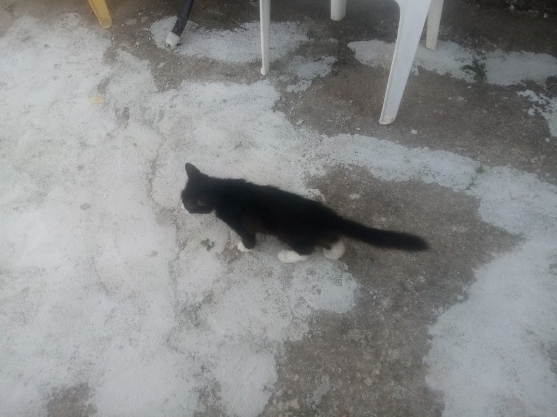 zoza1958 uploaded   242  day/s  ago