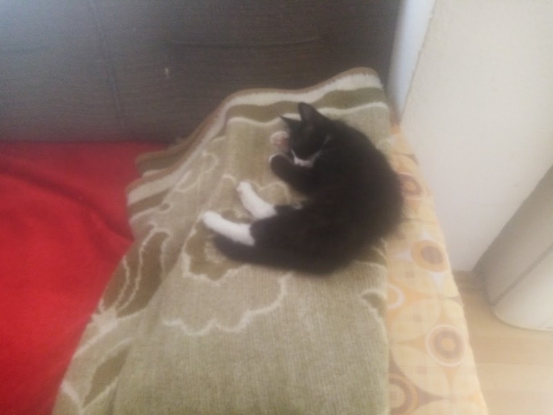 zoza1958 uploaded   280  day/s  ago