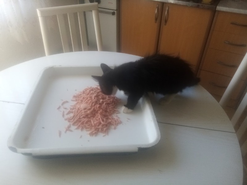 zoza1958 uploaded   280  day/s  ago