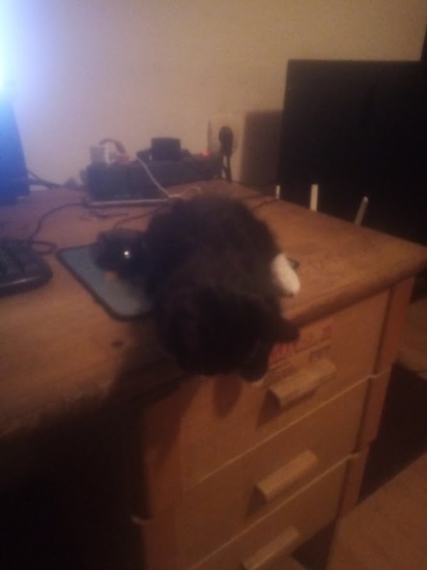 zoza1958 uploaded   280  day/s  ago