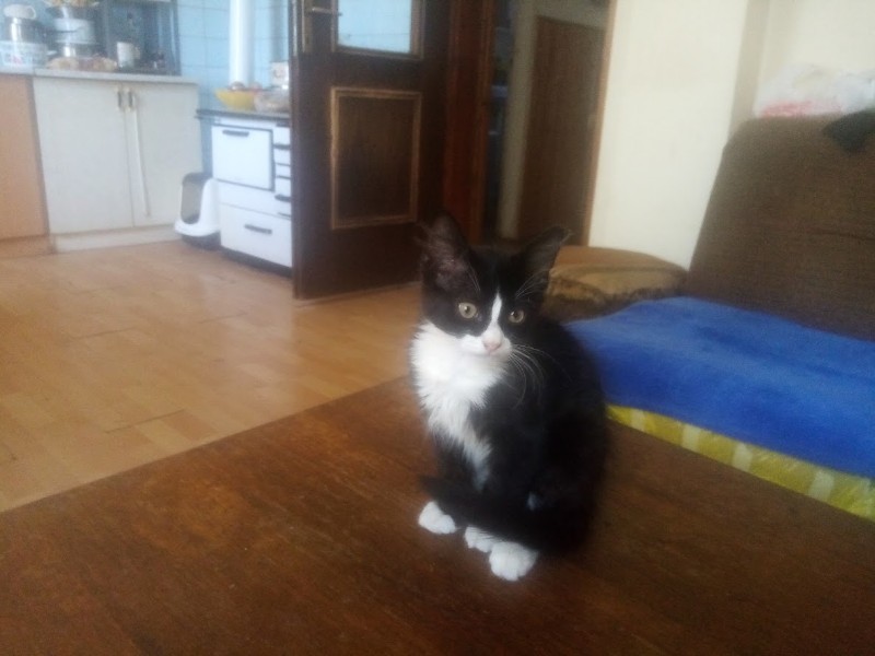 zoza1958 uploaded   280  day/s  ago