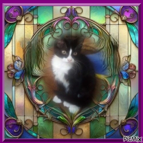 zoza1958 uploaded   53  day/s  ago