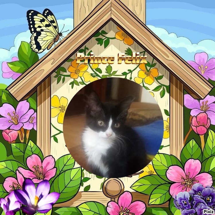 zoza1958 uploaded   46  day/s  ago