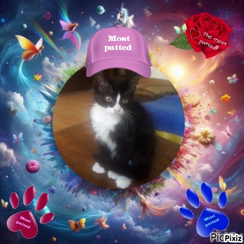 zoza1958 uploaded   290  day/s  ago