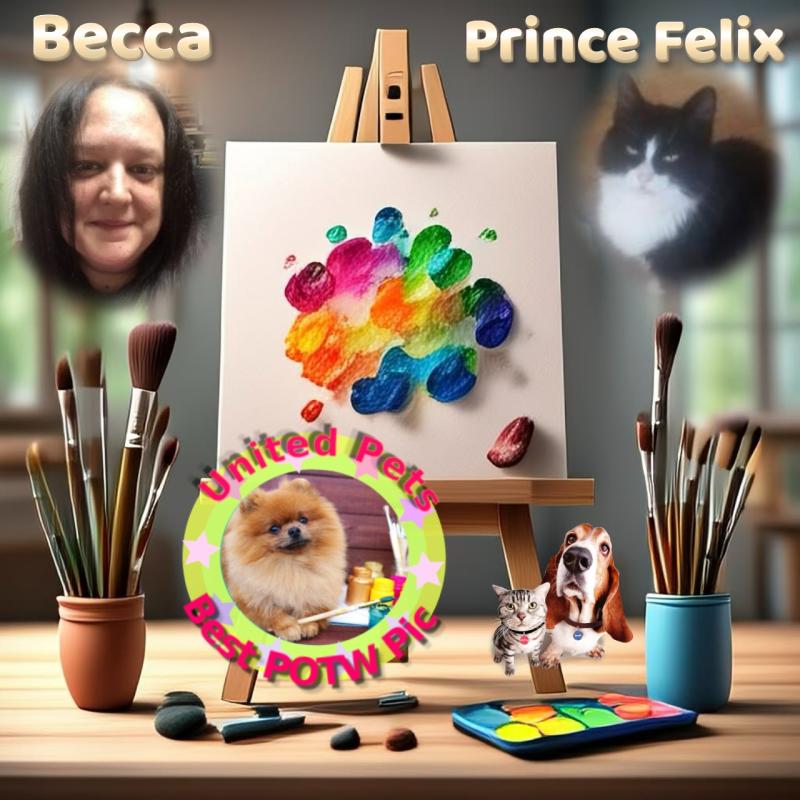 zoza1958 uploaded   12  day/s  ago