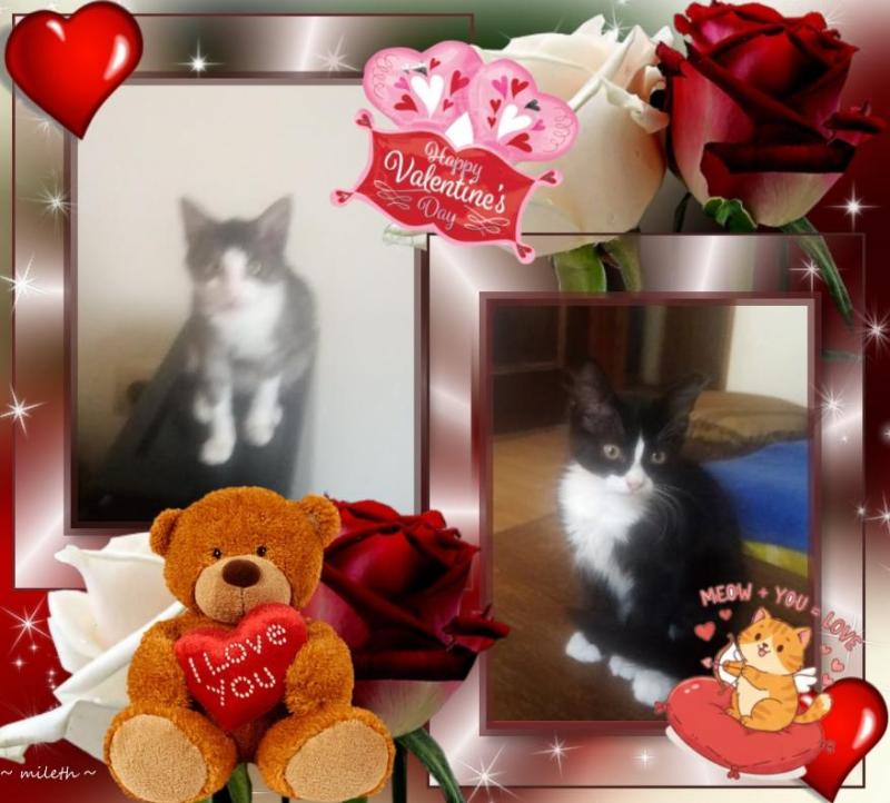 zoza1958 uploaded   90  day/s  ago