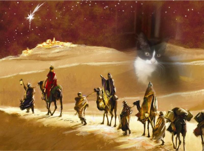 Prince Felix of the zoza1958 family