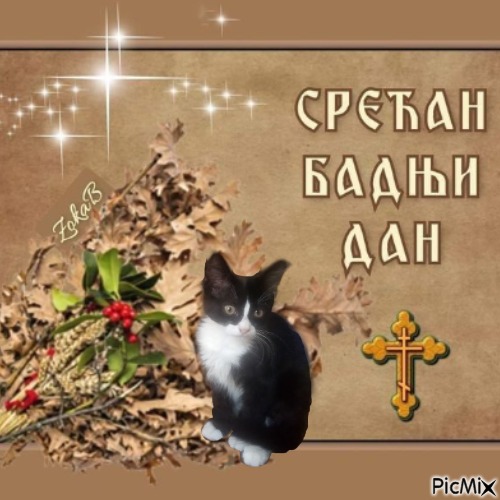 Prince Felix of the zoza1958 family