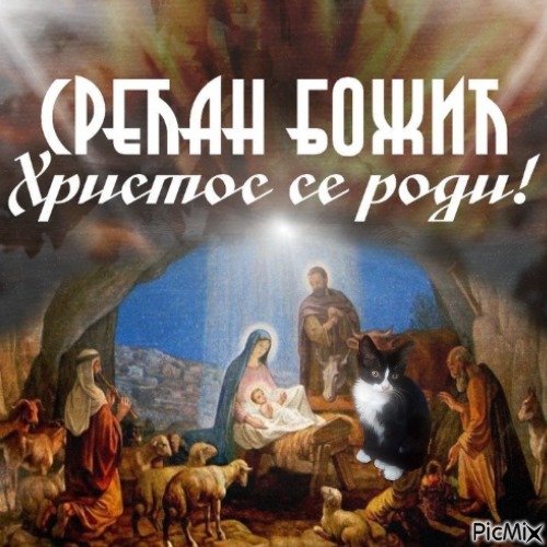 Prince Felix of the zoza1958 family