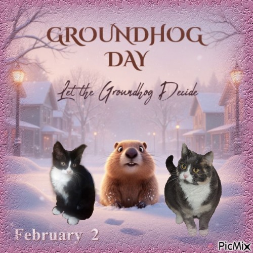 Prince Felix of the zoza1958 family