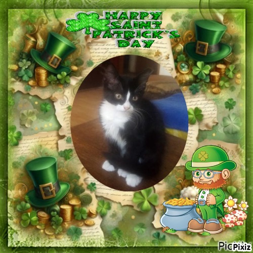 zoza1958 uploaded   31  day/s  ago