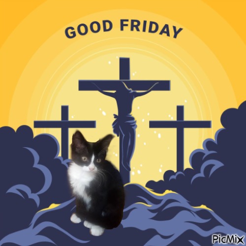 zoza1958 uploaded   8  day/s  ago