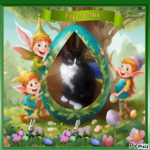 zoza1958 uploaded   6  day/s  ago