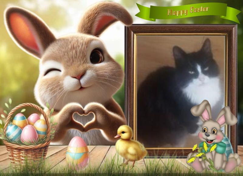 zoza1958 uploaded   1  day/s  ago