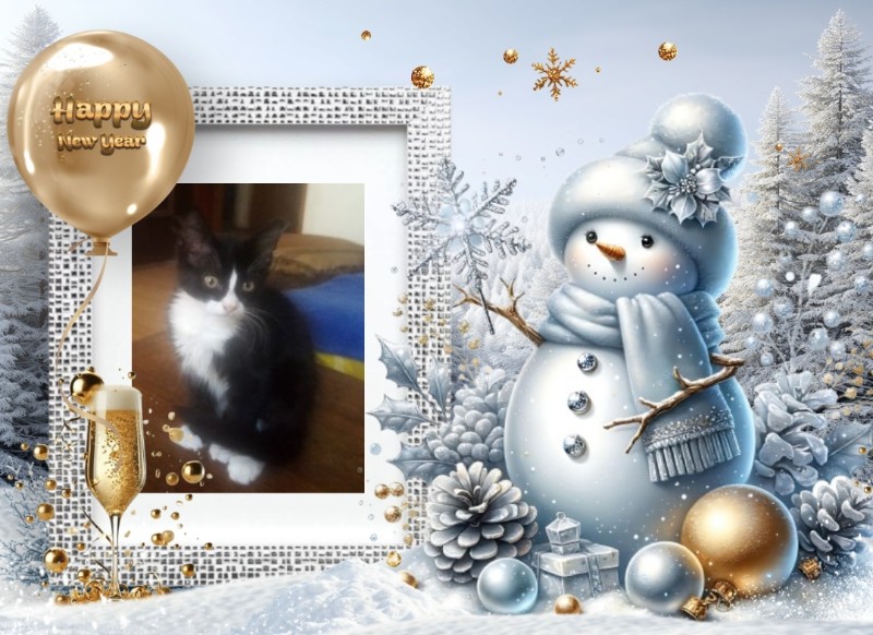 Prince Felix of the zoza1958 family