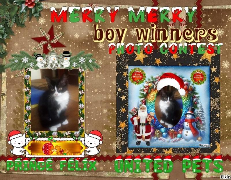 Prince Felix of the zoza1958 family