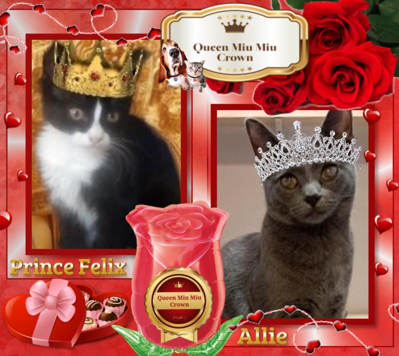 Prince Felix of the zoza1958 family