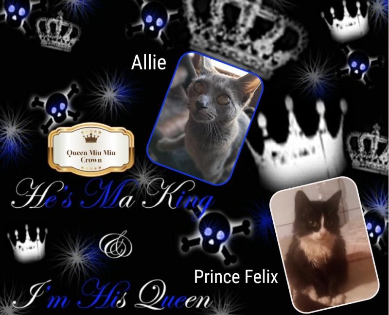 Prince Felix of the zoza1958 family