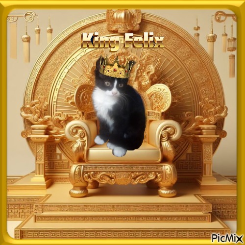 Prince Felix of the zoza1958 family