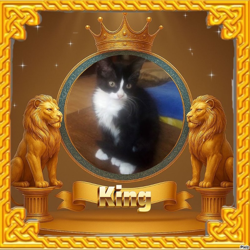 zoza1958 uploaded   88  day/s  ago