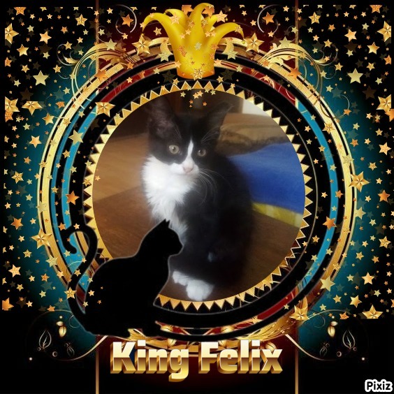 zoza1958 uploaded   88  day/s  ago