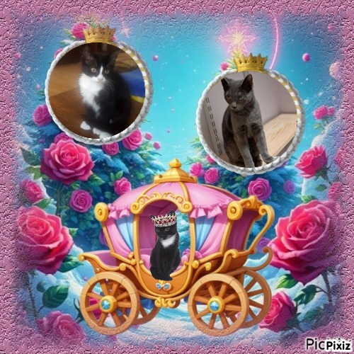 zoza1958 uploaded   88  day/s  ago