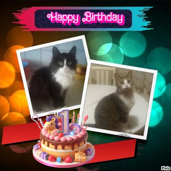 Prince Felix of the zoza1958 family