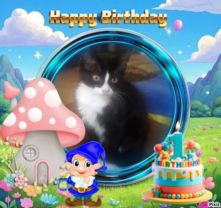 Prince Felix of the zoza1958 family