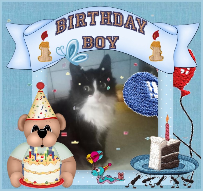 Prince Felix of the zoza1958 family