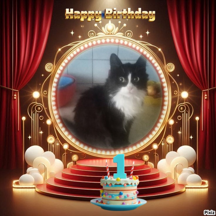 Prince Felix of the zoza1958 family