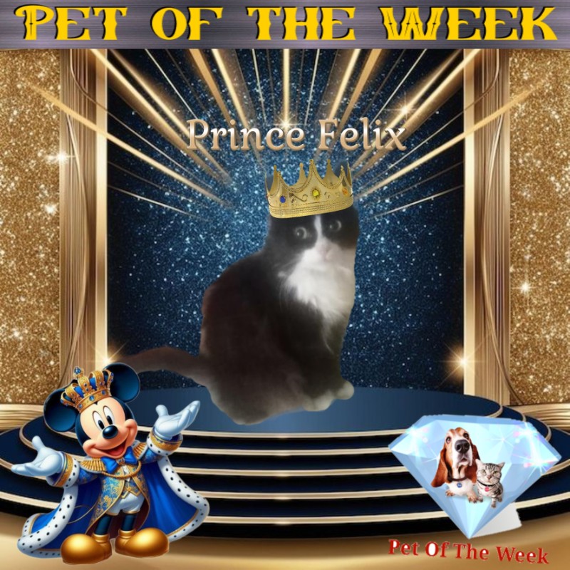 Prince Felix of the zoza1958 family