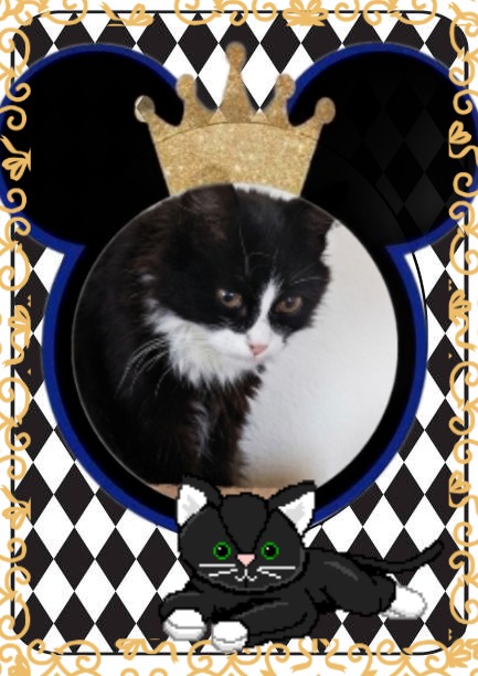 Prince Felix of the zoza1958 family