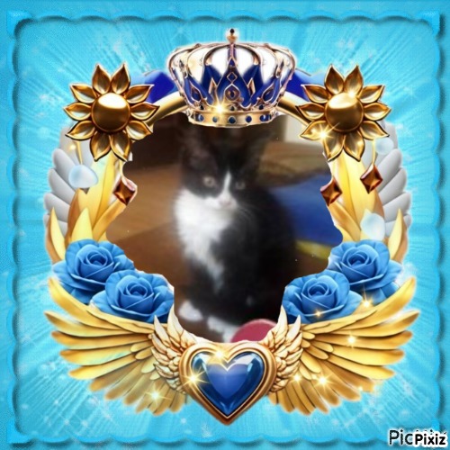 Prince Felix of the zoza1958 family