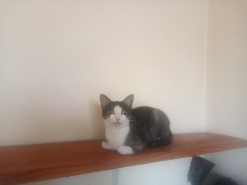 Princess Mimi of the zoza1958 family