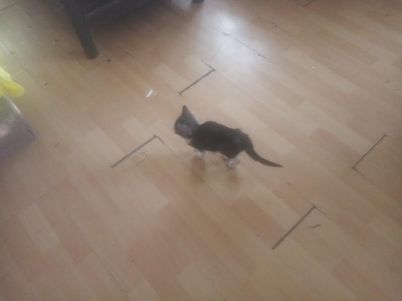 zoza1958 uploaded   161  day/s  ago