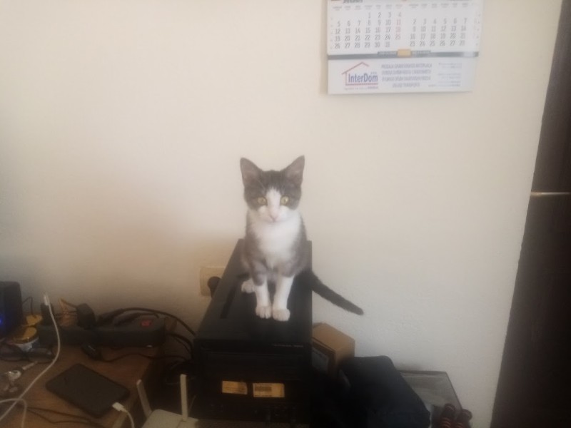 zoza1958 uploaded   100  day/s  ago