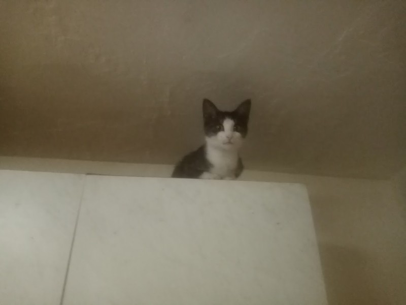 zoza1958 uploaded   94  day/s  ago