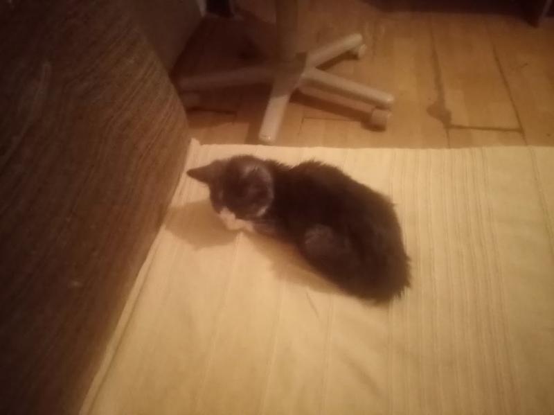 zoza1958 uploaded   161  day/s  ago