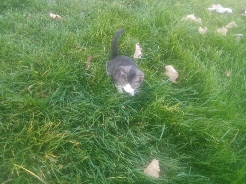 zoza1958 uploaded   157  day/s  ago