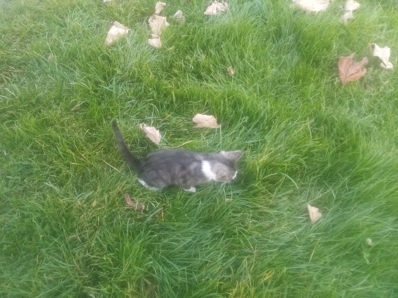 zoza1958 uploaded   157  day/s  ago