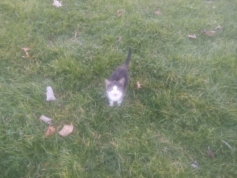 zoza1958 uploaded   157  day/s  ago