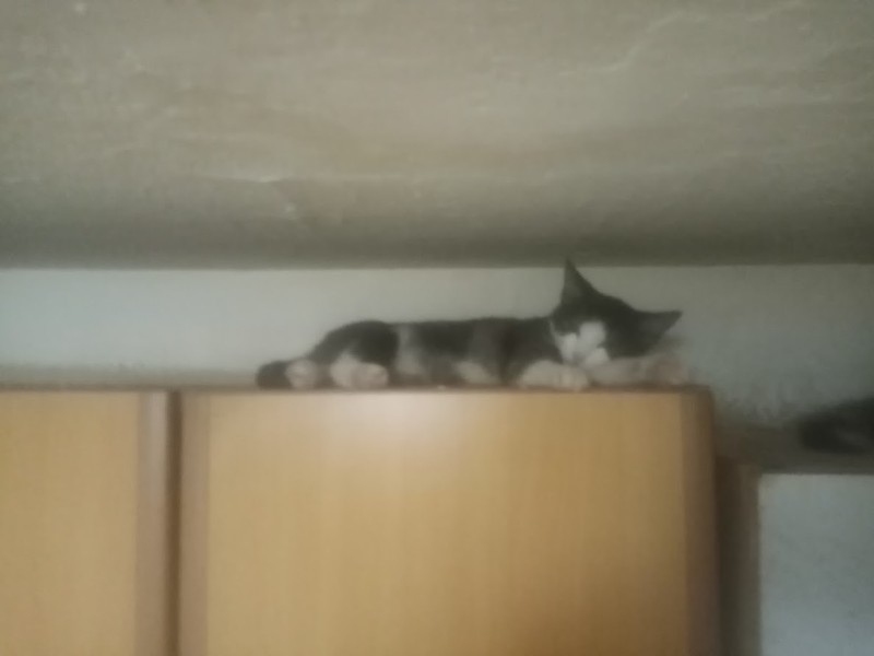 zoza1958 uploaded   78  day/s  ago