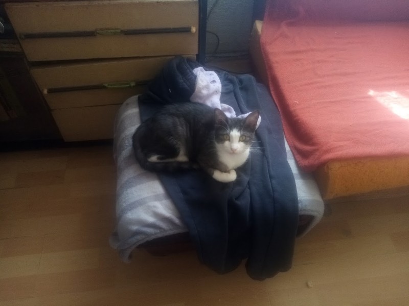 Princess Mimi of the zoza1958 family