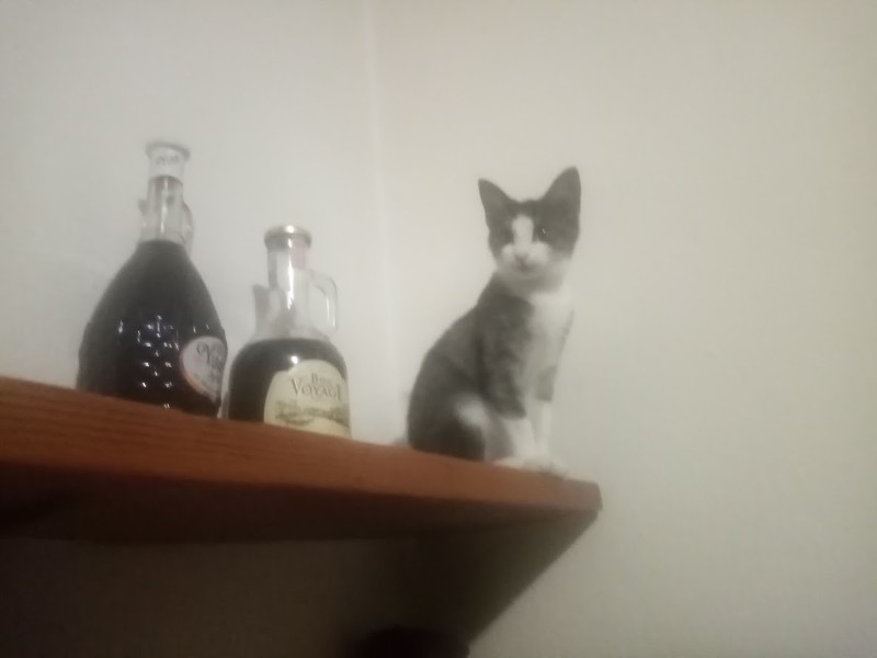 zoza1958 uploaded   94  day/s  ago