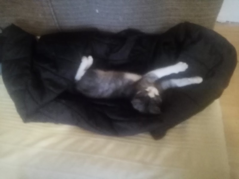 zoza1958 uploaded   113  day/s  ago