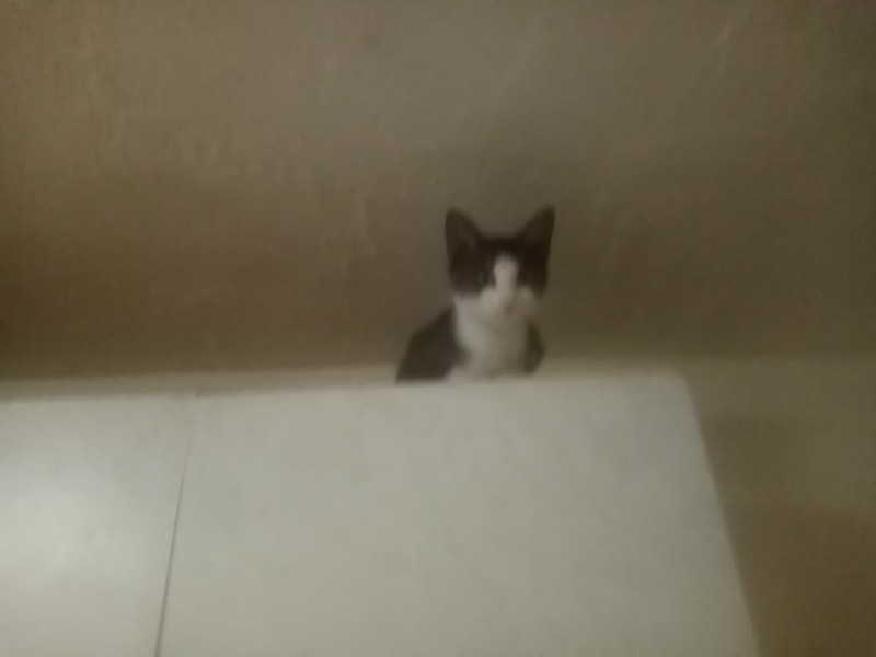 zoza1958 uploaded   94  day/s  ago